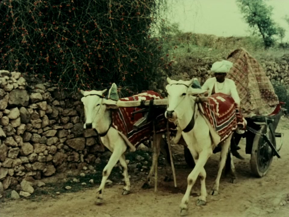 Duvidha screenshot 3