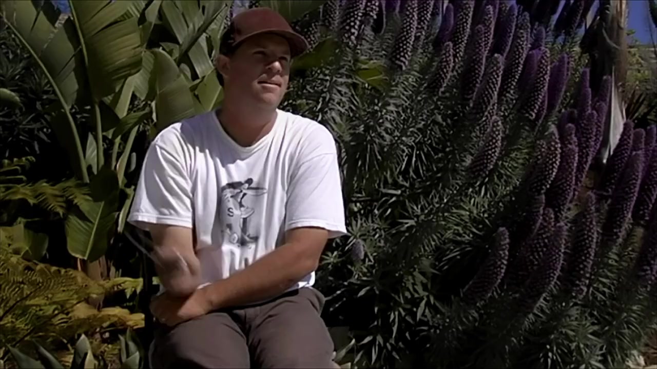 Dumb: The Story of Big Brother Magazine screenshot 3