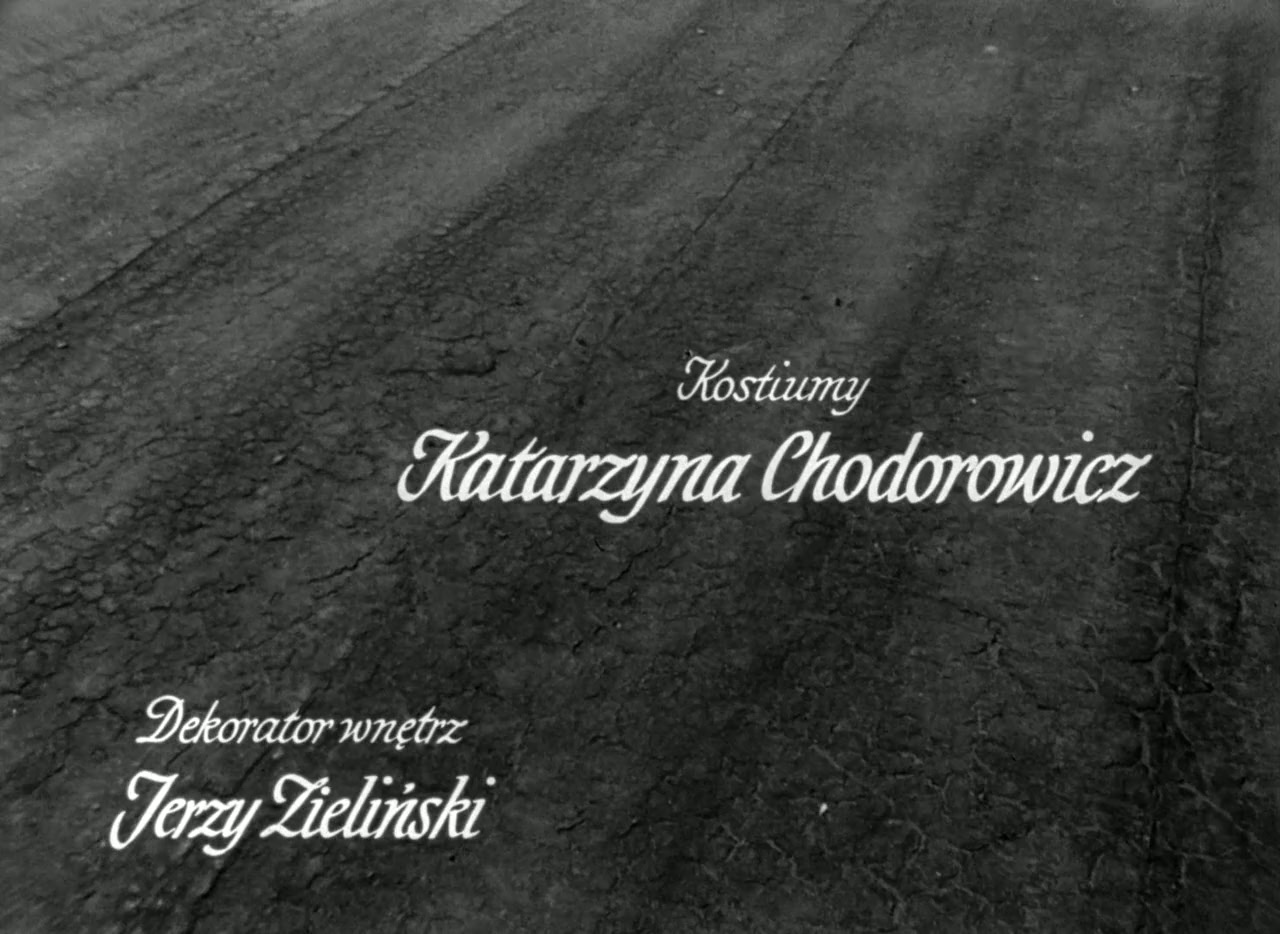Dwa zebra Adama screenshot 2