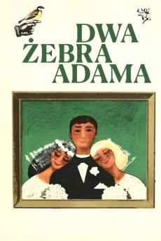 Dwa zebra Adama (1964) poster