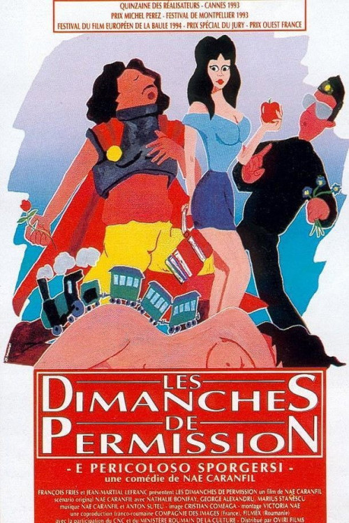 È pericoloso sporgersi (1993) poster