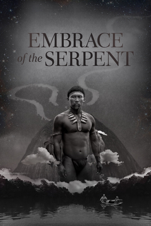 El abrazo de la serpiente (2015) poster