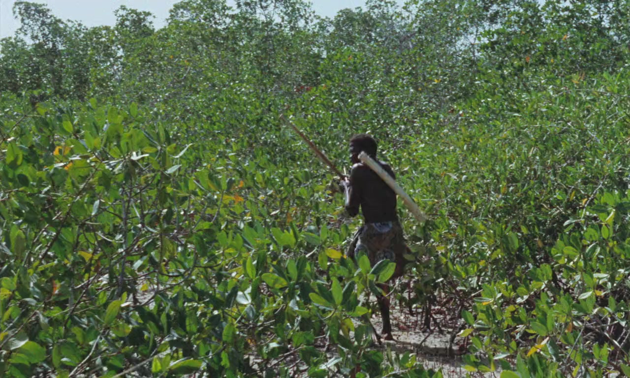 Emitaï screenshot 1
