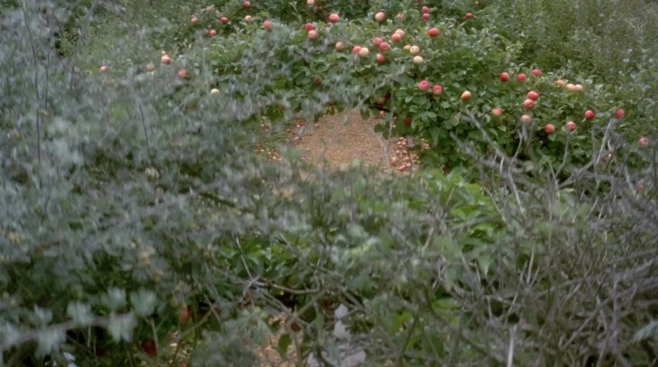 Emma screenshot 2