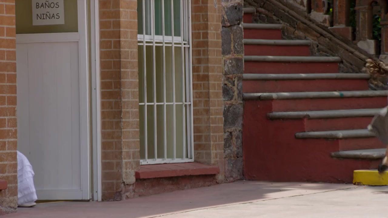 Emma screenshot 3