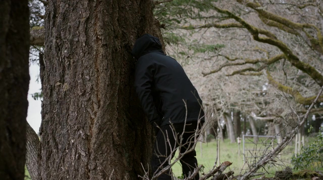 Site Unseen screenshot 1