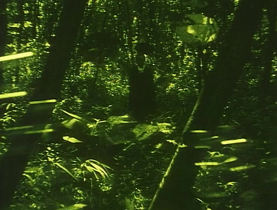 Émotion screenshot 2