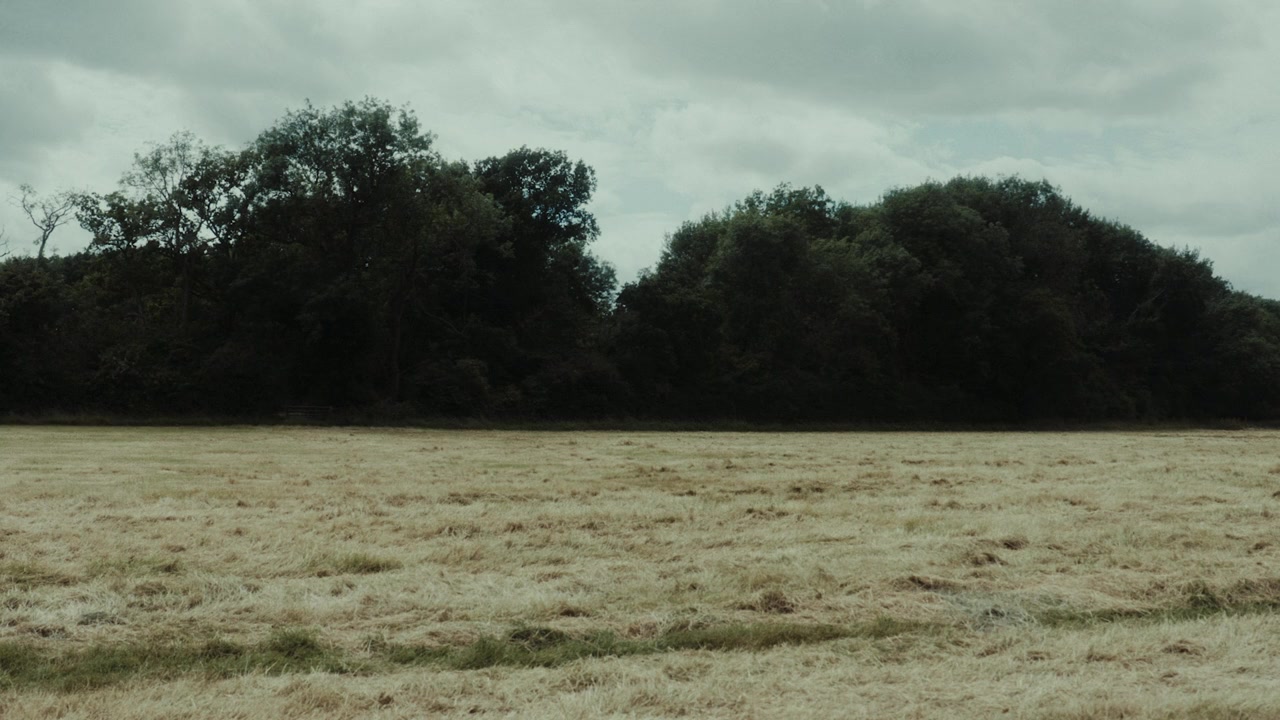 Empire of Lies screenshot 3