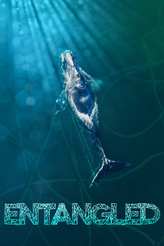 Entangled: The Race to Save Right Whales from Extinction (2020) poster