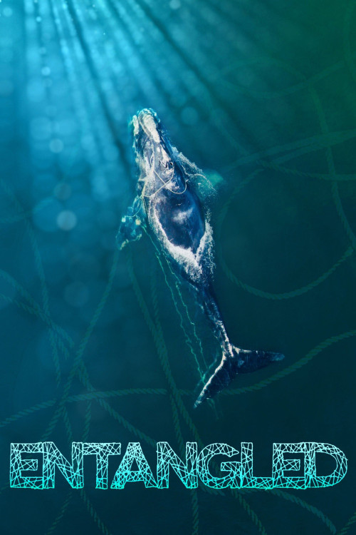 Entangled: The Race to Save Right Whales from Extinction (2020) poster