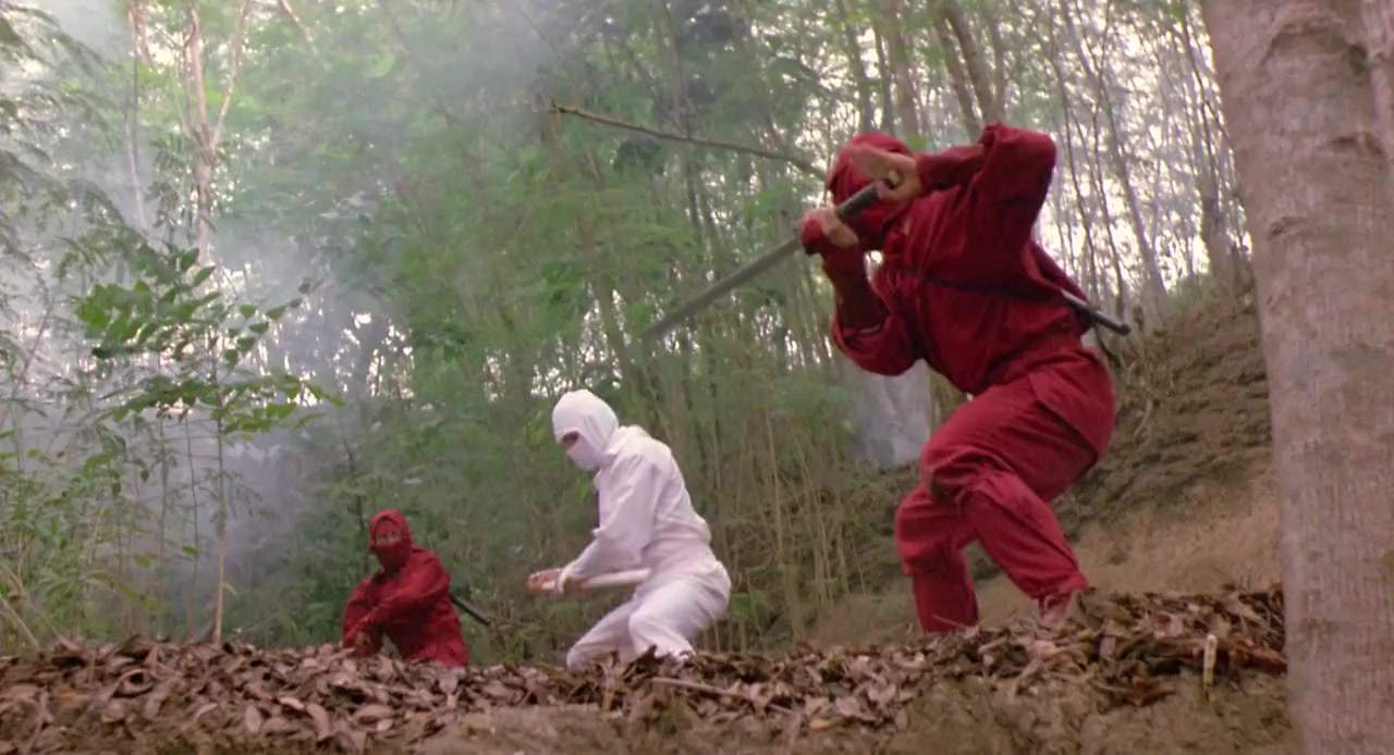 Enter the Ninja screenshot 2