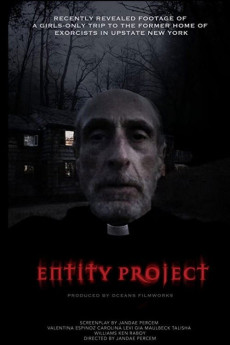 Entity Project (2019) poster