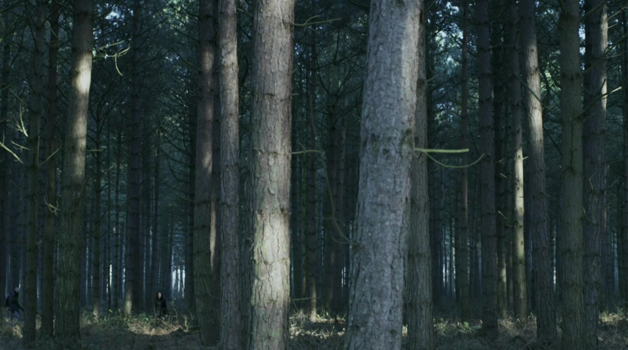 Entity screenshot 2