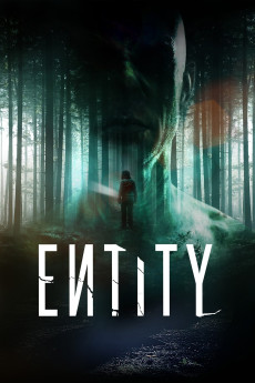 Entity (2012) poster