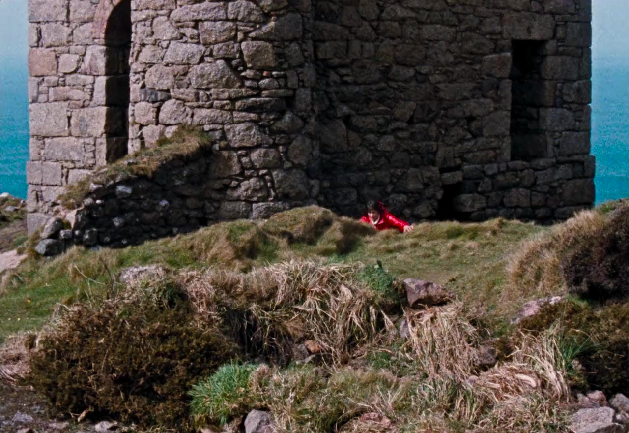 Enys Men screenshot 1