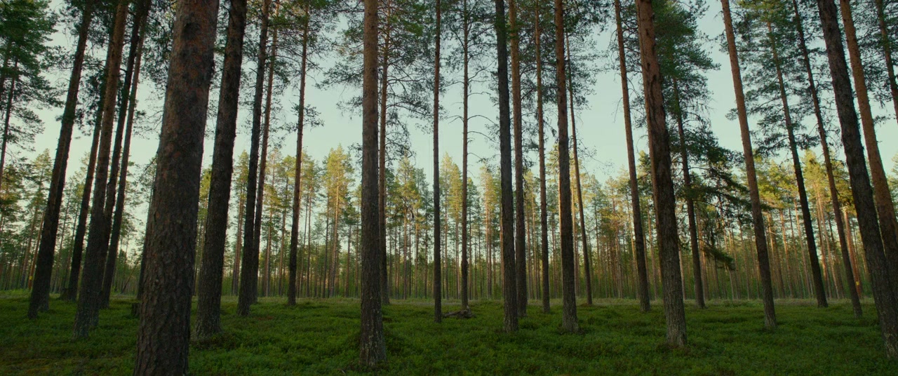En dag kommer allt det här bli ditt screenshot 1