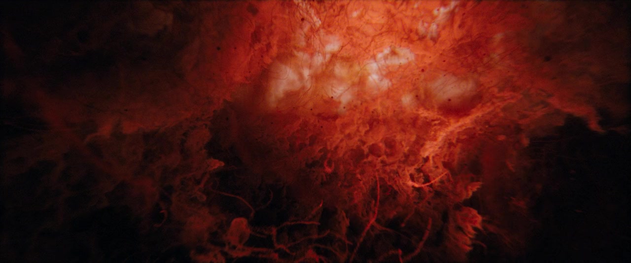 Encounter screenshot 3