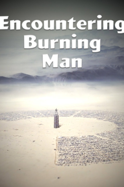Encountering Burning Man (2010) poster