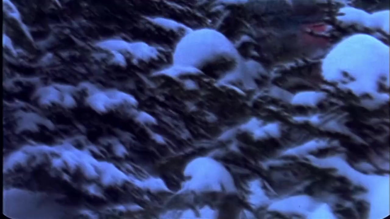 Endless Winter screenshot 3