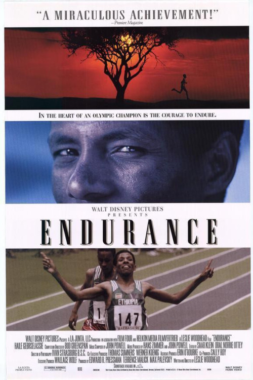 Endurance (1998) poster