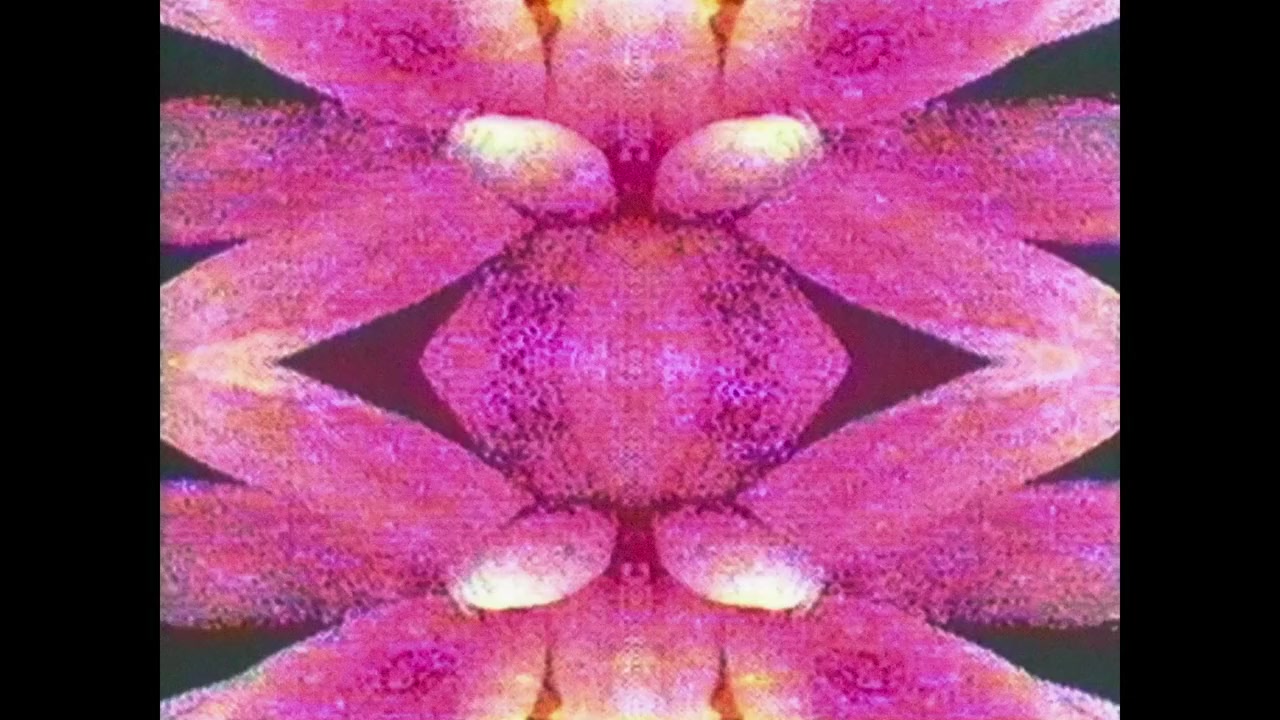Eno screenshot 3