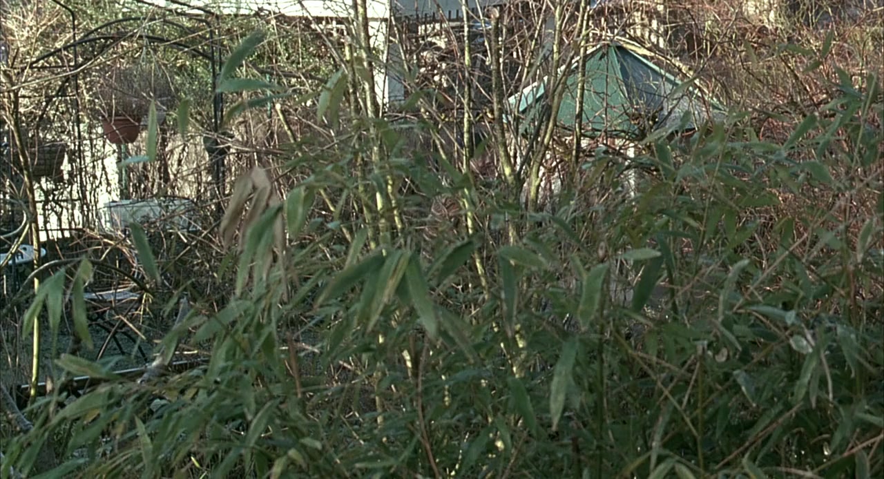 Error screenshot 1