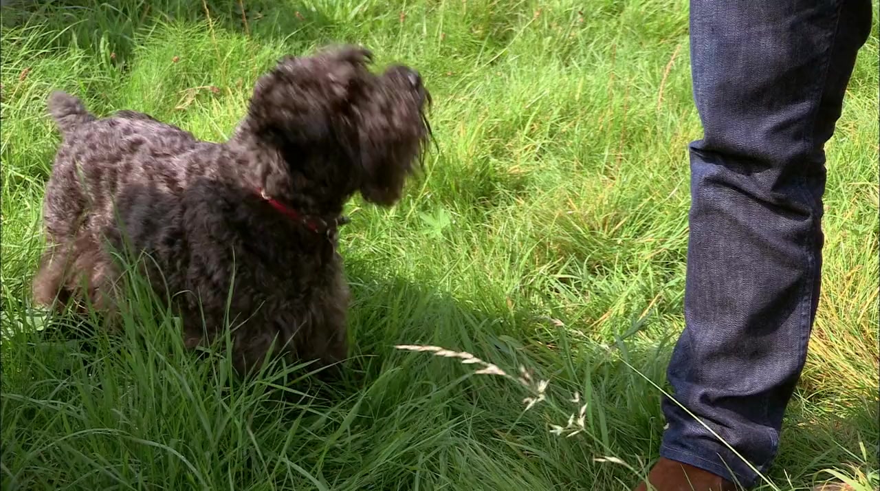 Eat to Live Forever with Giles Coren screenshot 2
