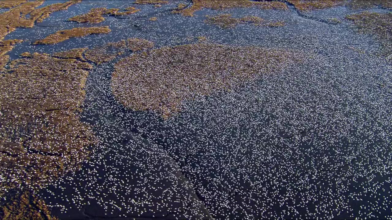 Earth screenshot 1