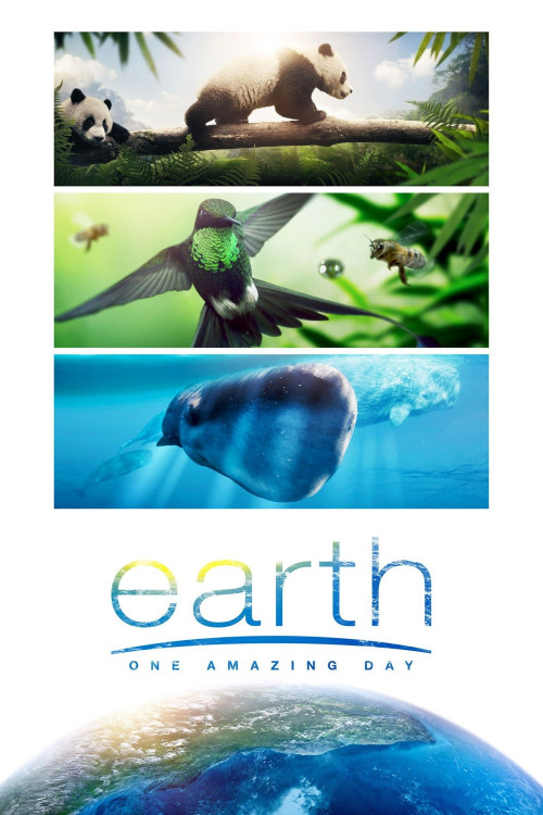 Earth: One Amazing Day (2017) poster