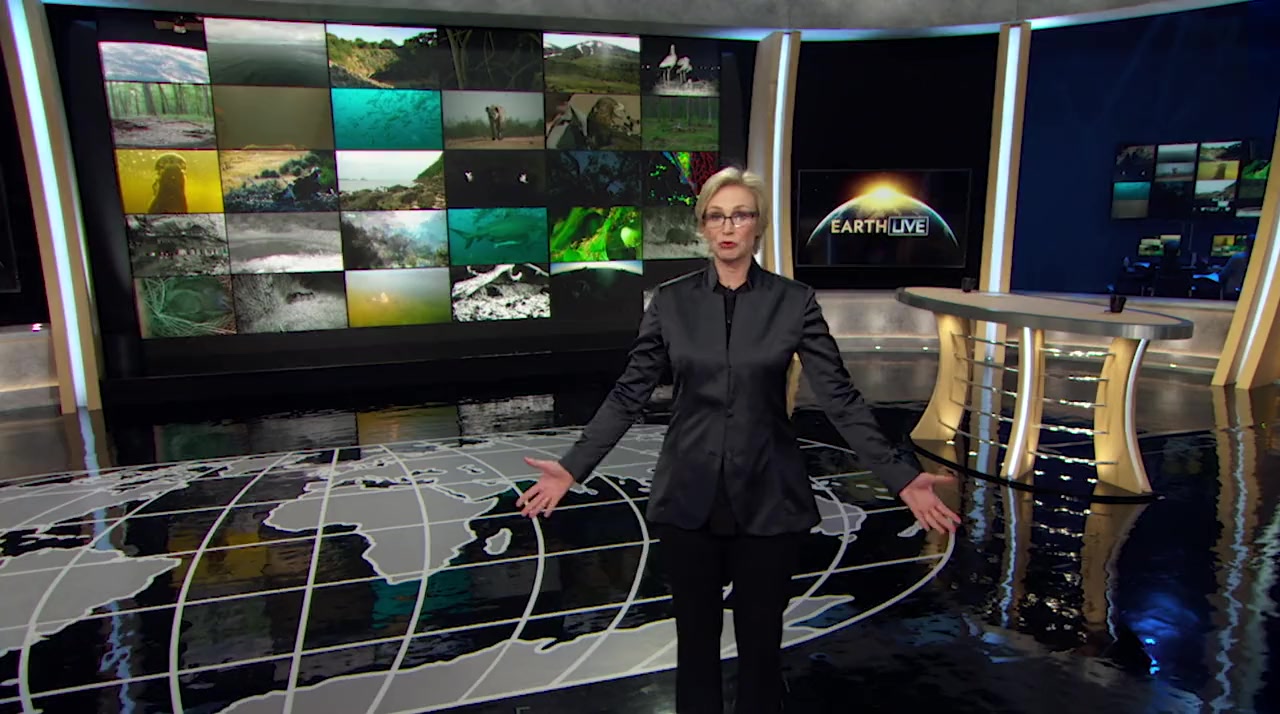 Earth Live screenshot 1