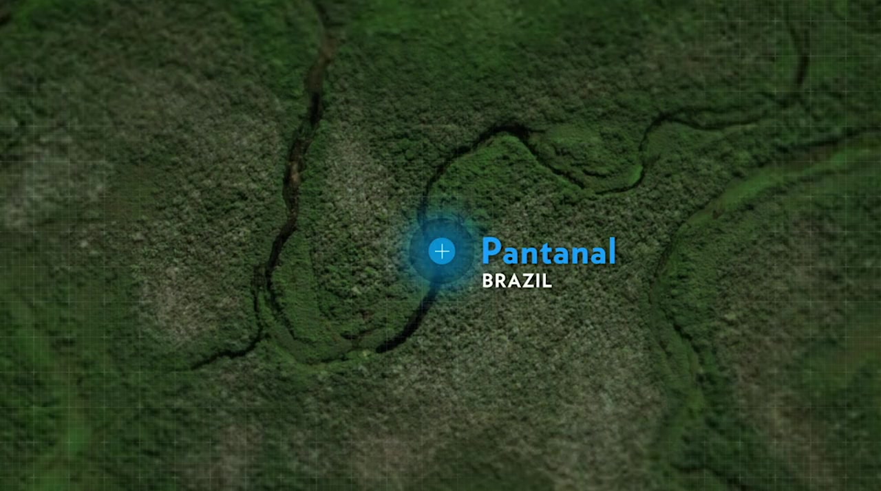Earth Live screenshot 3