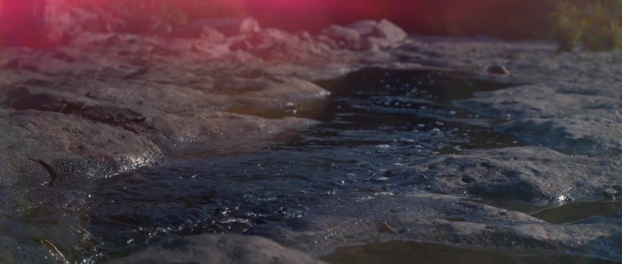 Earth Mother screenshot 3
