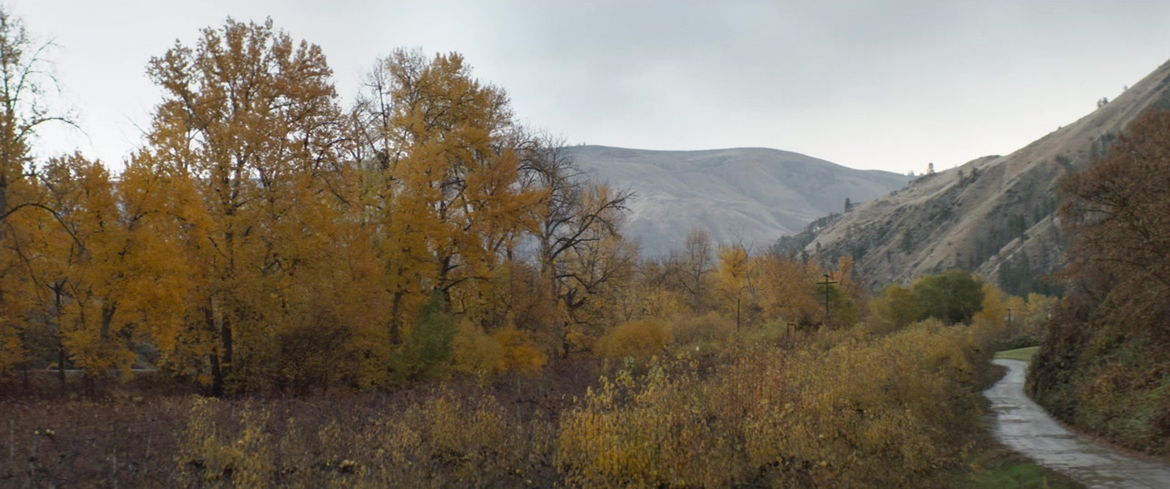 East of the Mountains screenshot 1