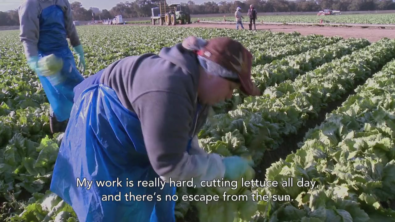 East of Salinas screenshot 2