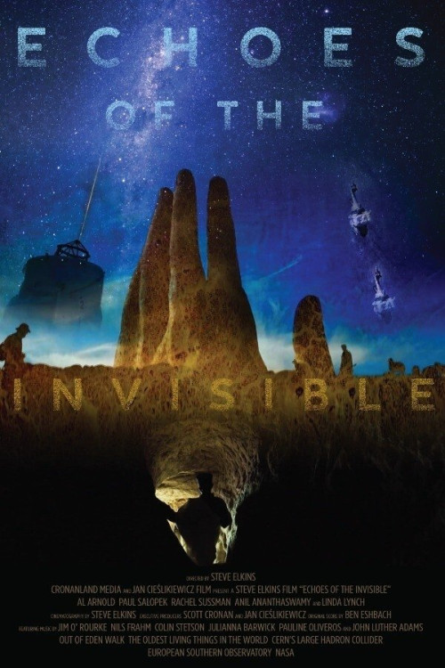 Echoes of the Invisible (2020) poster