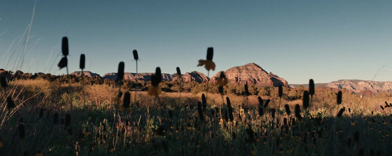 Echoes of Violence screenshot 3