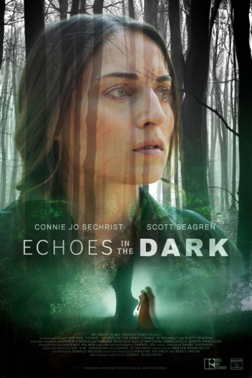 Echoes in the Dark (2024) poster