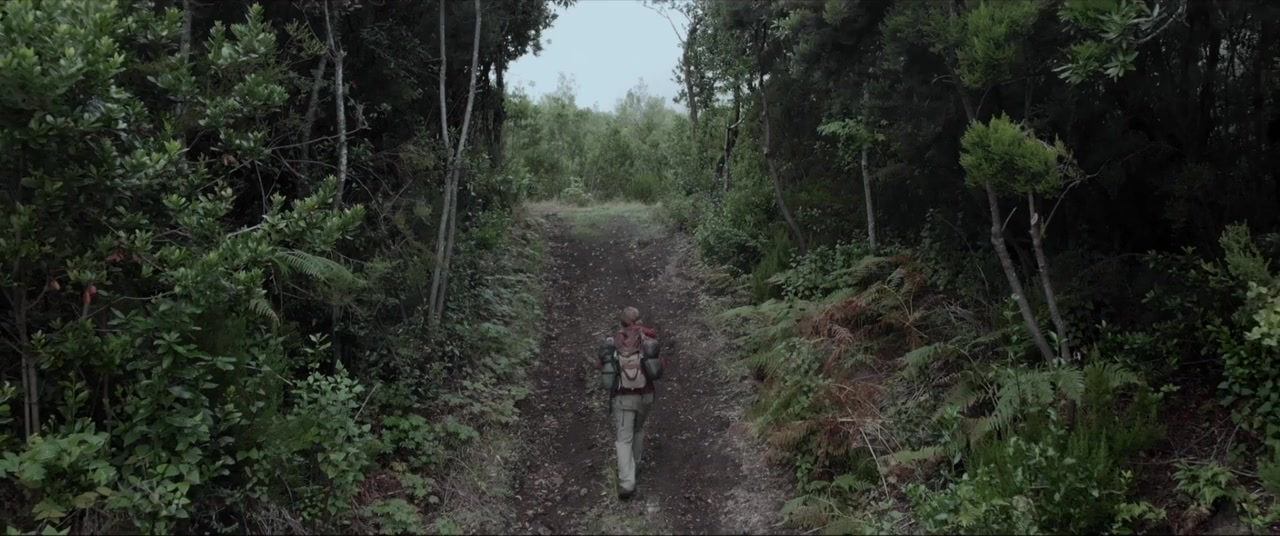 Ecos screenshot 1