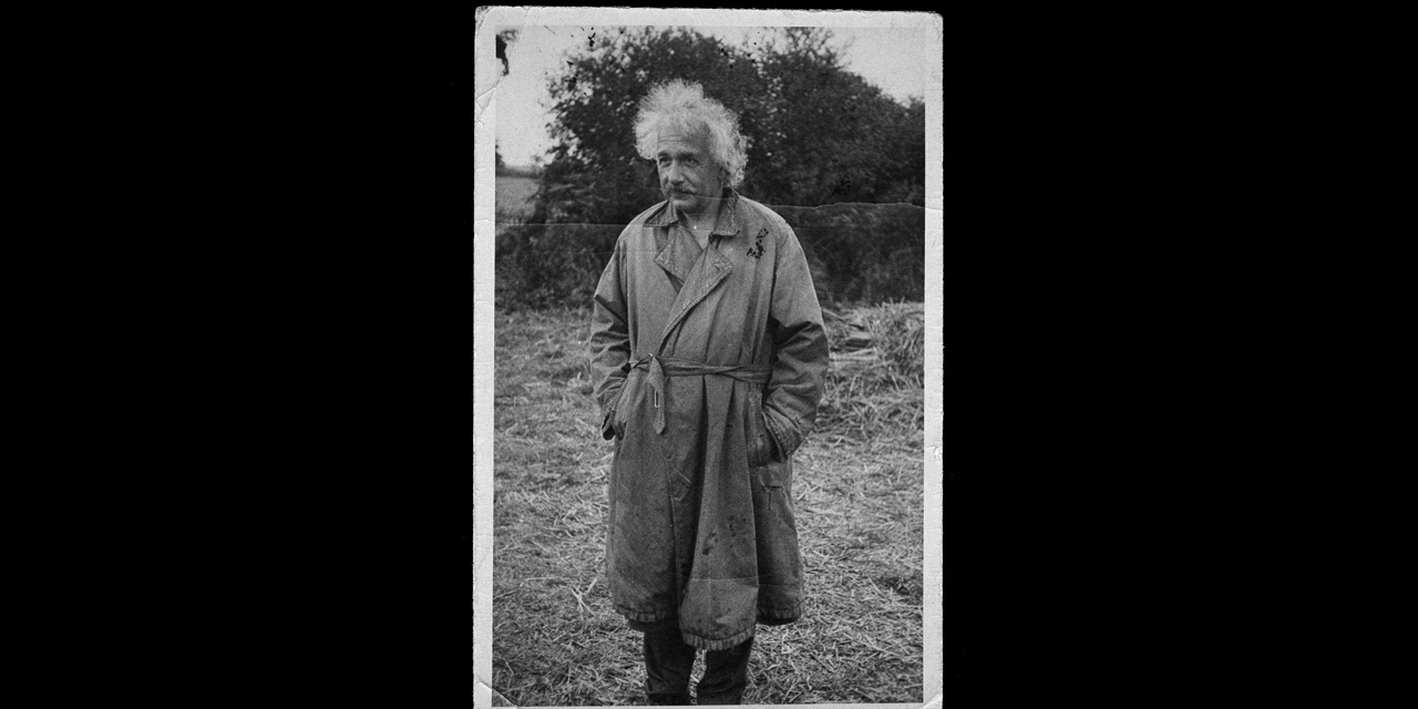 Einstein and the Bomb screenshot 2