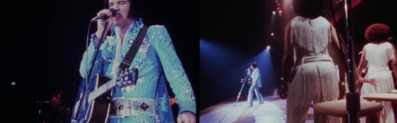 Elvis on Tour screenshot 1