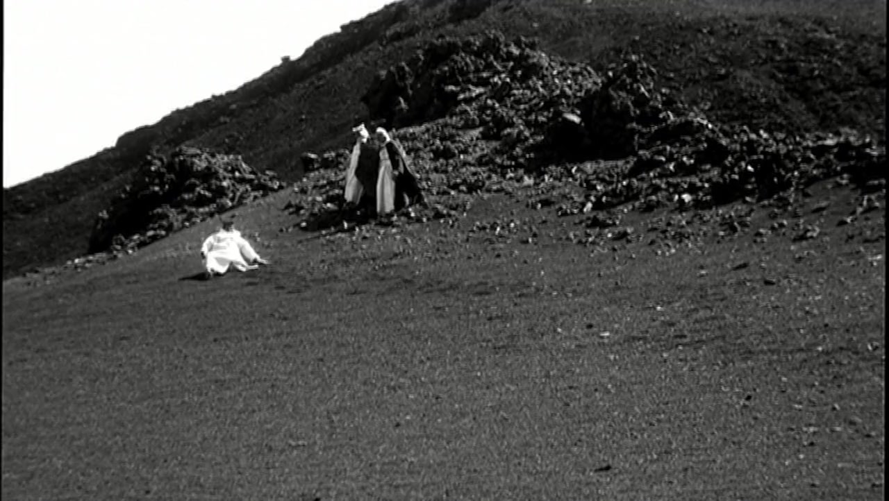 El cant dels ocells screenshot 3