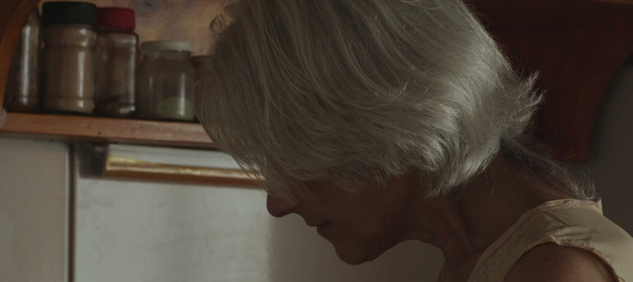 El Amigo Visible screenshot 3