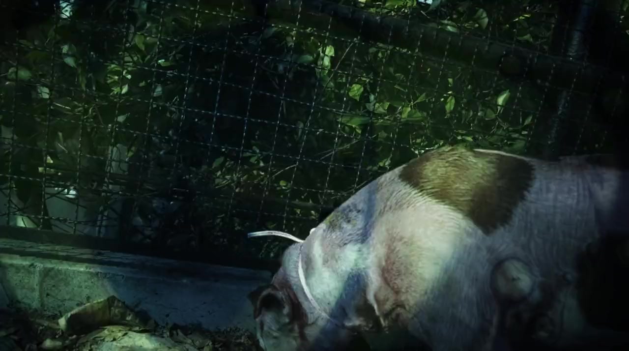 El Hombre Búfalo screenshot 1