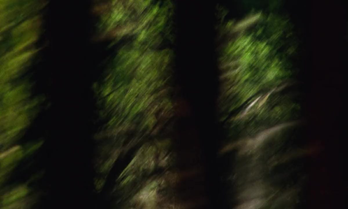 El mar la mar screenshot 3