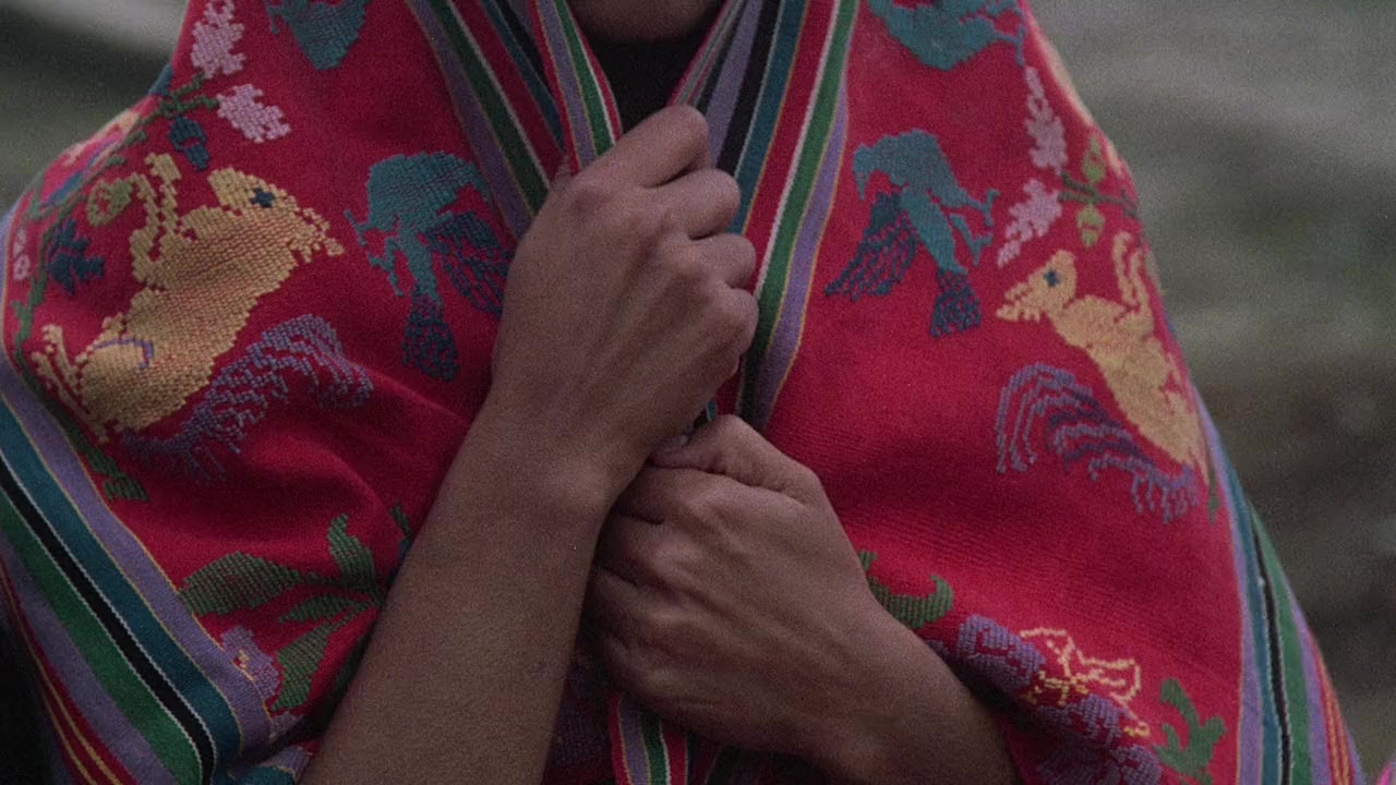 El Norte screenshot 2
