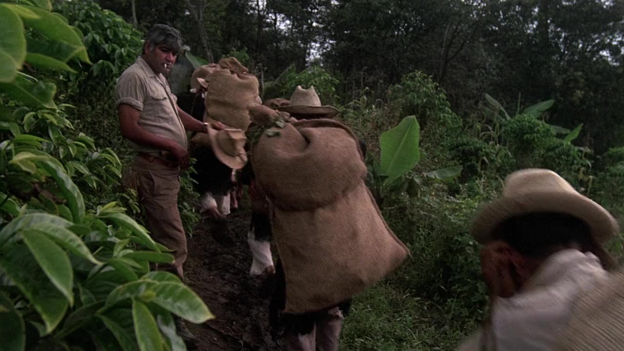 El Norte screenshot 3