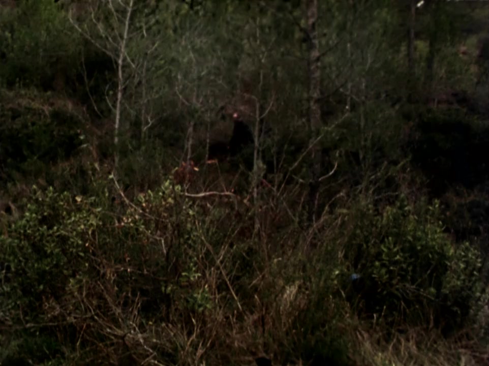 El sopar screenshot 2