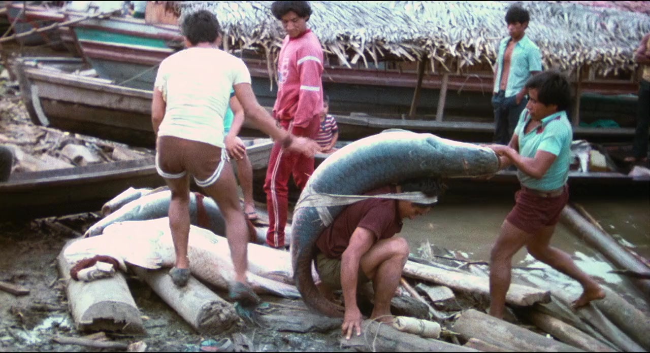 El viento del ayahuasca screenshot 1