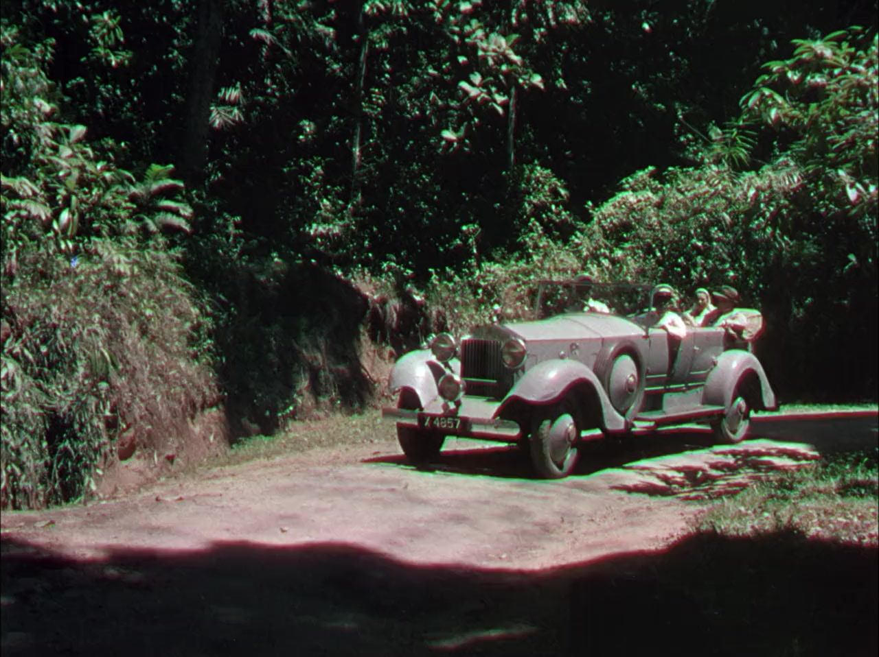 Elephant Walk screenshot 2