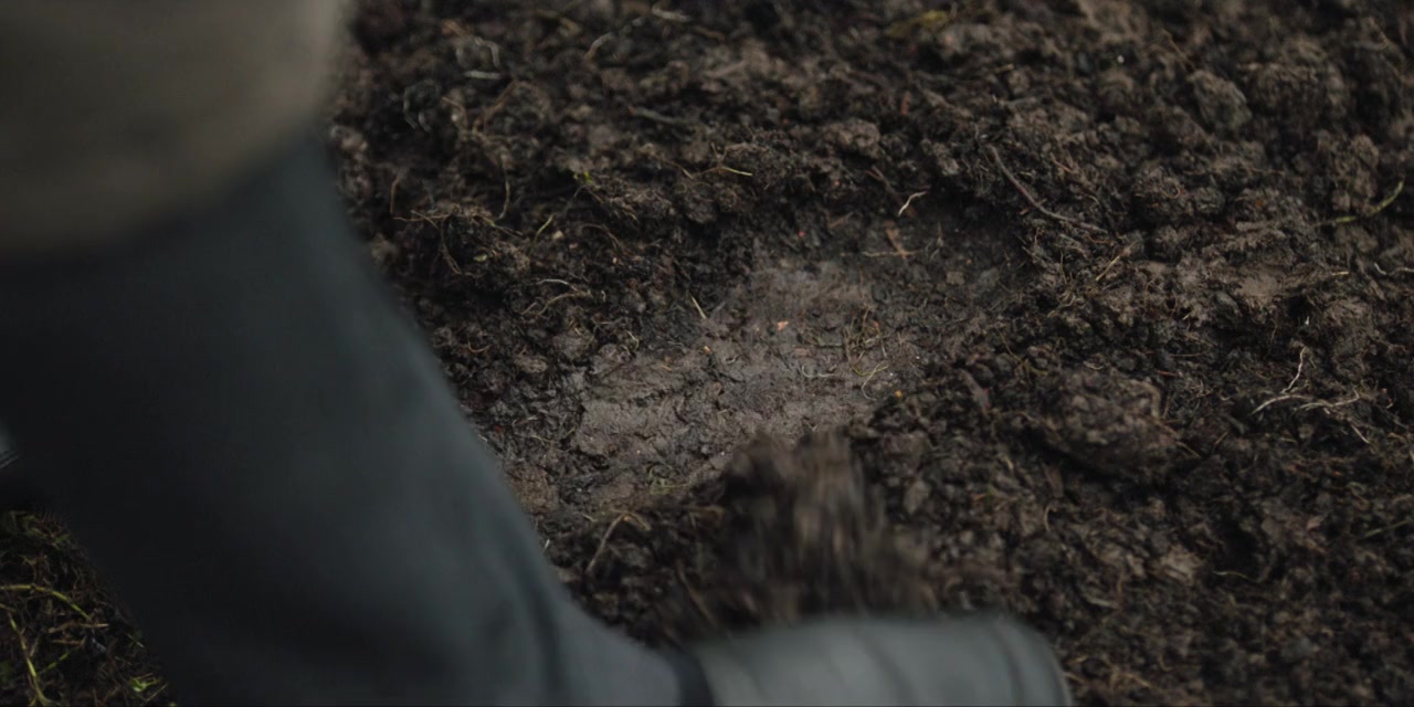 Elizabeth Is Missing screenshot 2